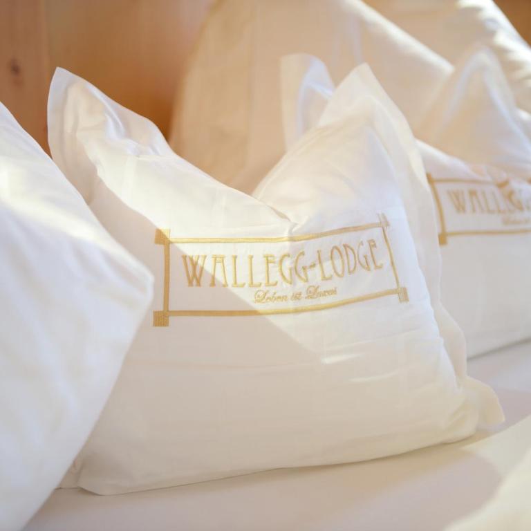 Wallegg Lodge - Alpine Premium Chalet - Ski In-Ski Out - Real Alpine Location Saalbach - Deluxe Chalet - 48