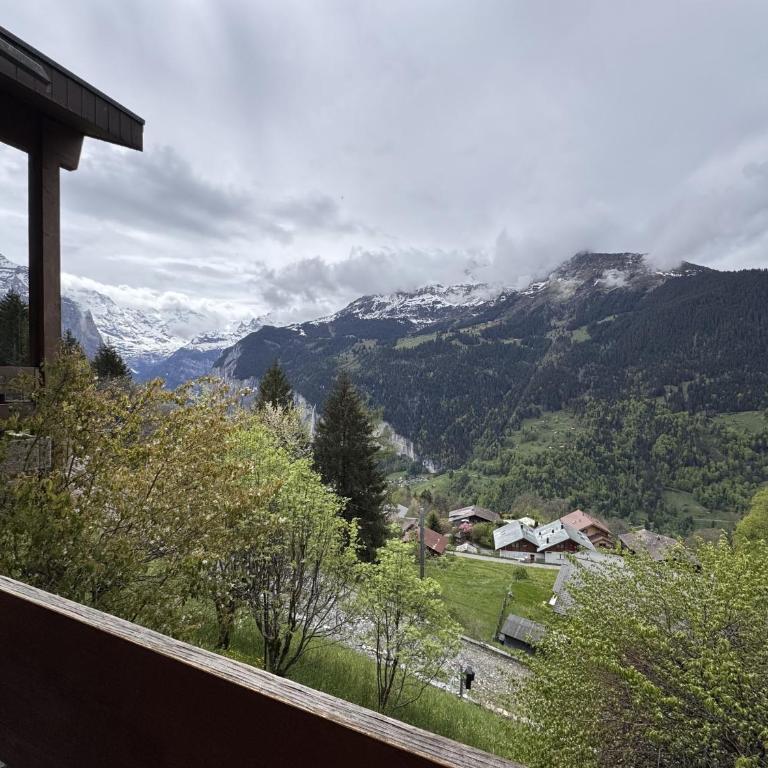 Chalet Primula 3 - Apartment mit 4 Schlafzimmern und einem Balkon - 2