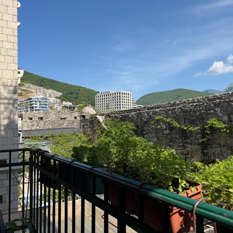 Apartments Aleksić Old Town - Apartman sa 1 Spavaćom Sobom, Balkonom i Pogledom na Planinu - 3