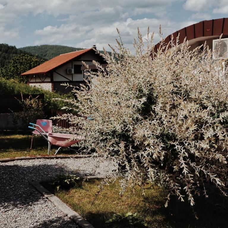 Holiday Home Casa Rondo - Vacation Home - 13