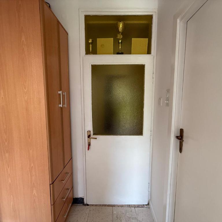 Apartments Aleksić Old Town - Apartman sa 1 Spavaćom Sobom, Balkonom i Pogledom na Planinu - 17