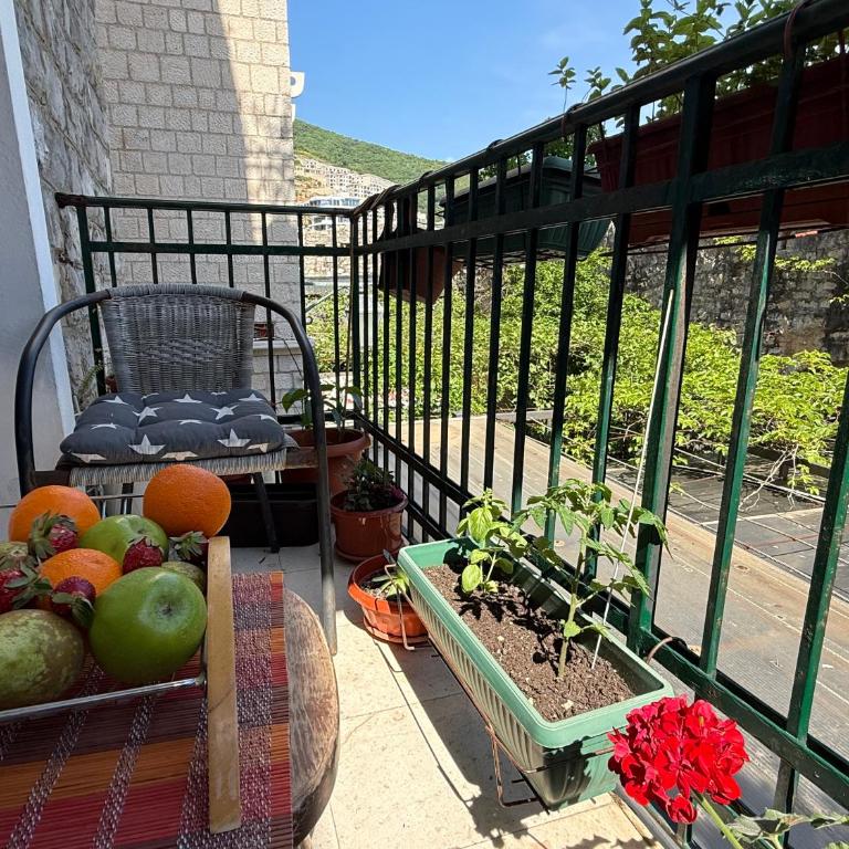 Apartments Aleksić Old Town - Apartman sa 1 Spavaćom Sobom, Balkonom i Pogledom na Planinu - 21