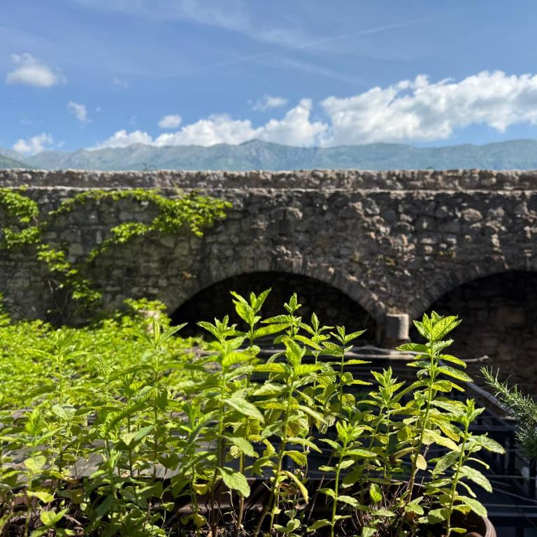 Apartments Aleksić Old Town - Apartman sa 1 Spavaćom Sobom, Balkonom i Pogledom na Planinu - 24