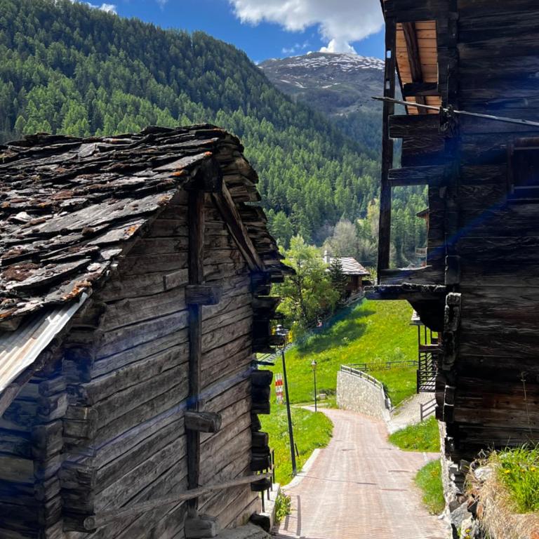 Grange de Fonville - Evolène - Valais - Chalet 3 Chambres - 18