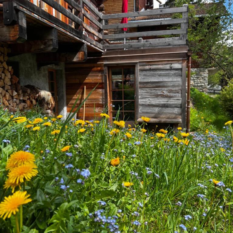 Grange de Fonville - Evolène - Valais - Chalet 3 Chambres - 17