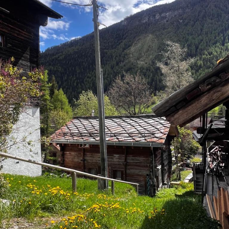 Grange de Fonville - Evolène - Valais - Chalet 3 Chambres - 16