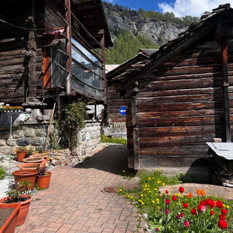 Grange de Fonville - Evolène - Valais - Chalet 3 Chambres - 29
