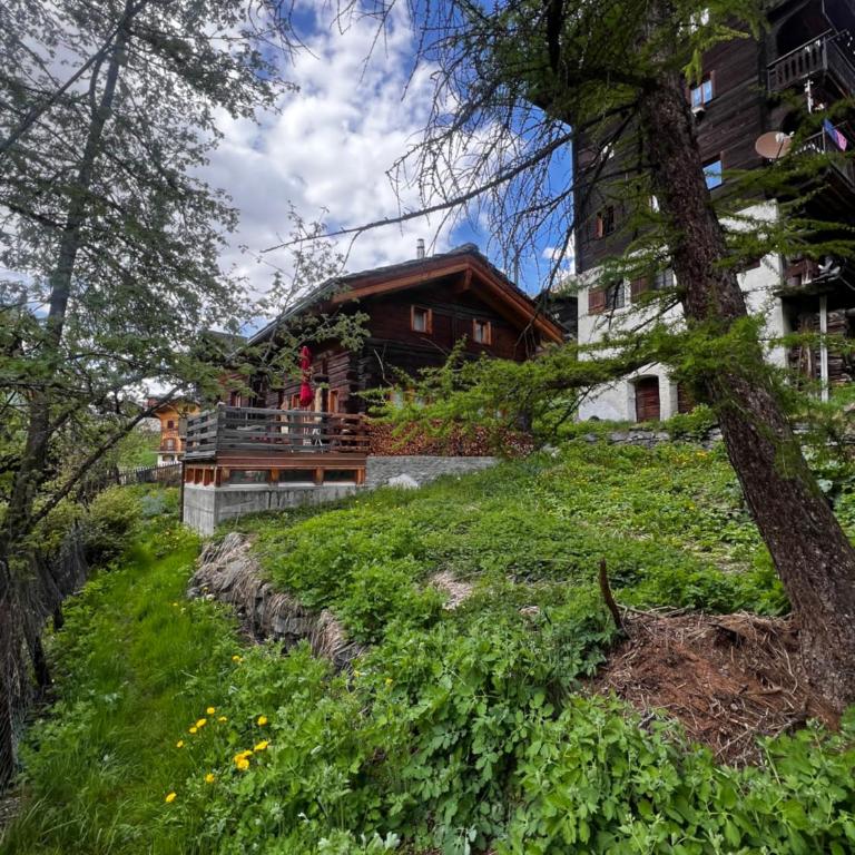 Grange de Fonville - Evolène - Valais - Chalet 3 Chambres - 23