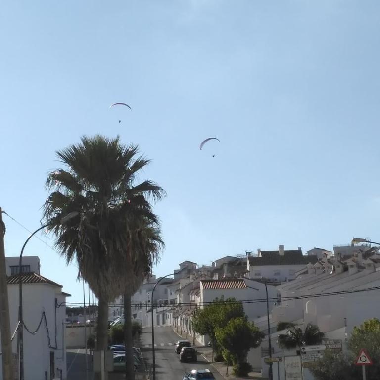 Casa Aurora Vejer - Apartamento de 3 dormitorios - 2