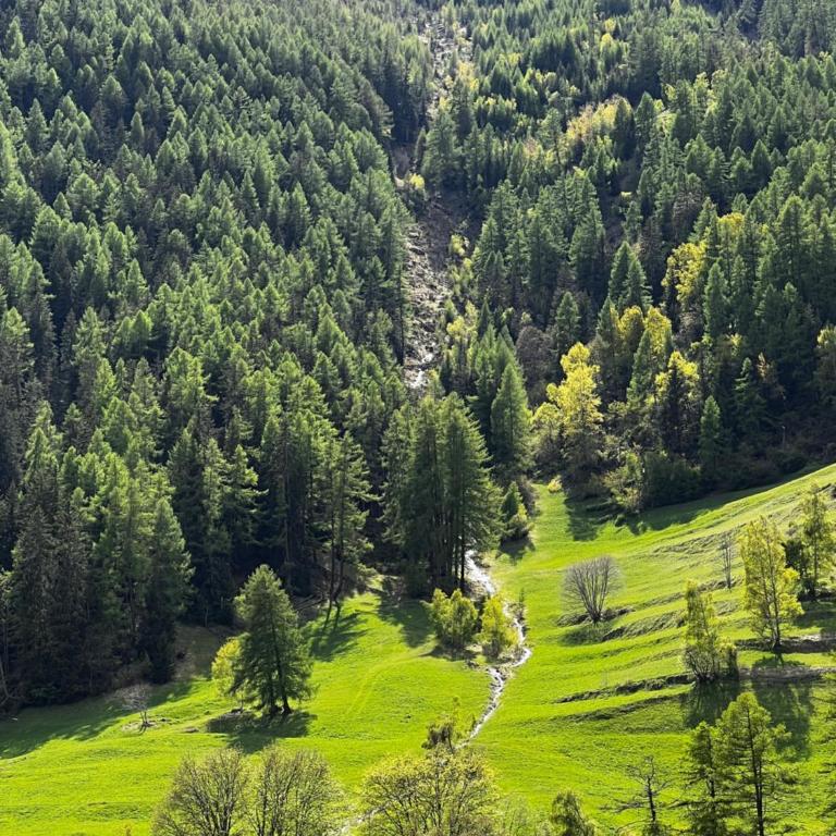 Grange de Fonville - Evolène - Valais - Chalet 3 Chambres - 32