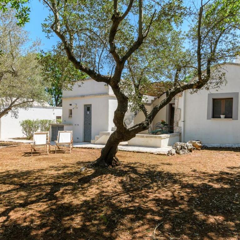 Trullo Antico in Valle d'Itria - Chalet con 2 Camere da Letto - 7