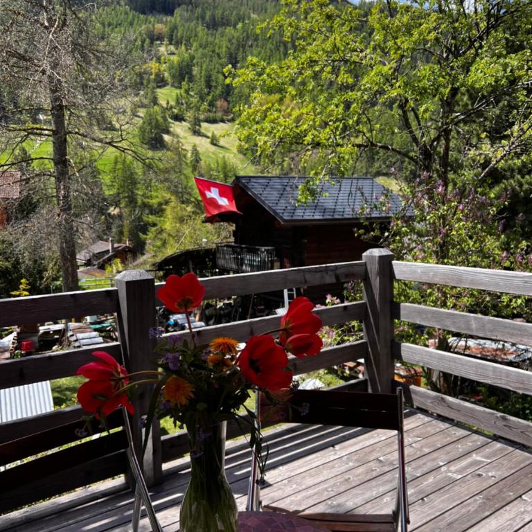 Grange de Fonville - Evolène - Valais - Chalet 3 Chambres - 35