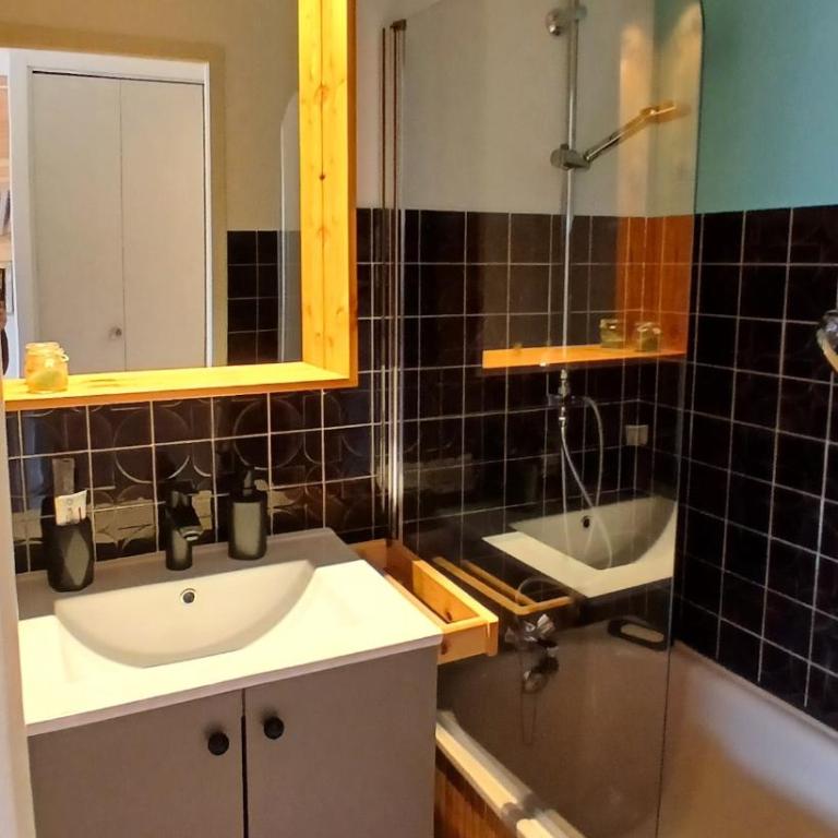 Le petit perchoir du lac - Appartement 1 Chambre - 15