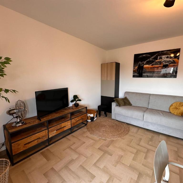Nouveau ! à 200m des plages grand studio baigné de lumière, très grande terrasse tout confort - Monolocale - 7