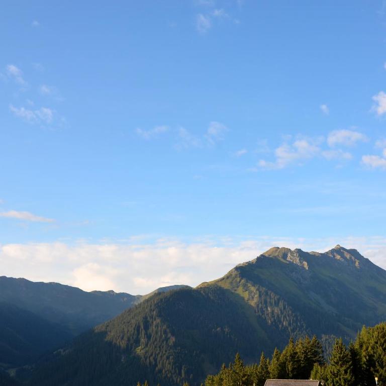 Wallegg Lodge - Alpine Premium Chalet - Ski In-Ski Out - Real Alpine Location Saalbach - Deluxe Chalet - 53