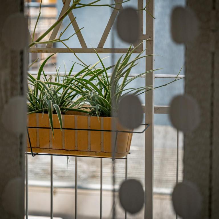 Cangiano House by Sicily in Home - Appartamento con 2 Camere da Letto, Balcone e Terrazza - 26