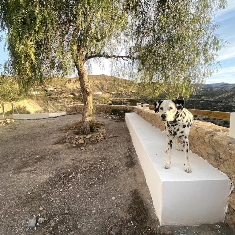 Casa Ubedas - Casa de 4 dormitorios - 47