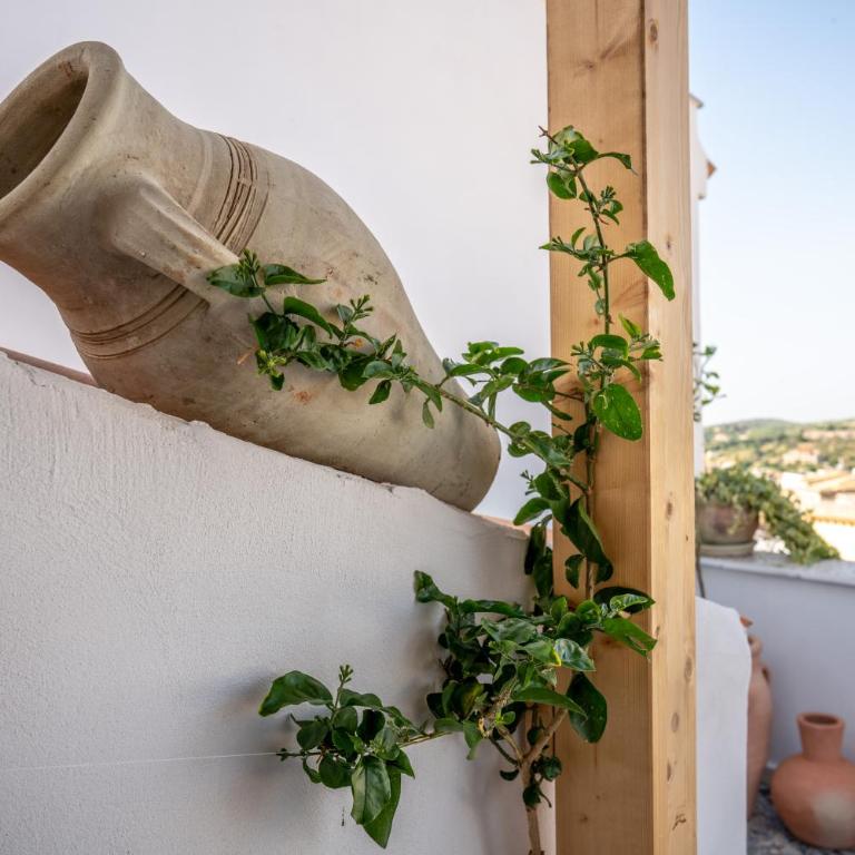 Vico Larzio 6 "Terrazza sul Vico" - Casa con 1 Camera da Letto - 28