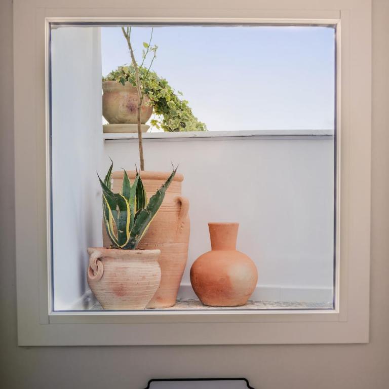 Vico Larzio 6 "Terrazza sul Vico" - Casa con 1 Camera da Letto - 22