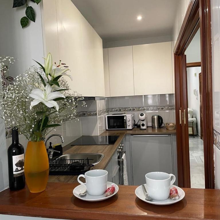Elegancia y confort en el corazón de Málaga - Apartamento de 2 dormitorios con balcón - 16