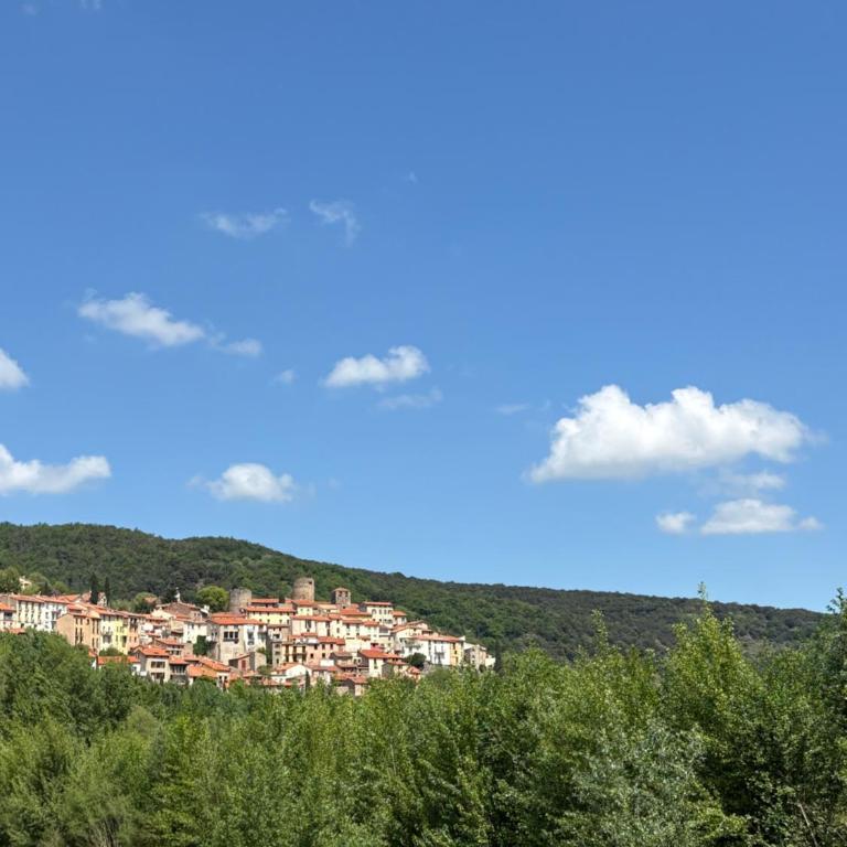 petit T2 RDC tout confort - Appartement 1 Chambre - 4