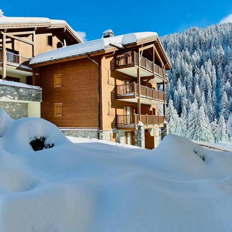 L'Ourson aux pieds des pistes & piscine chauffée - Appartement 2 Chambres - 33