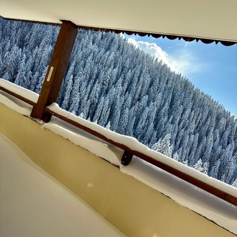 L'Ourson aux pieds des pistes & piscine chauffée - Appartement 2 Chambres - 35
