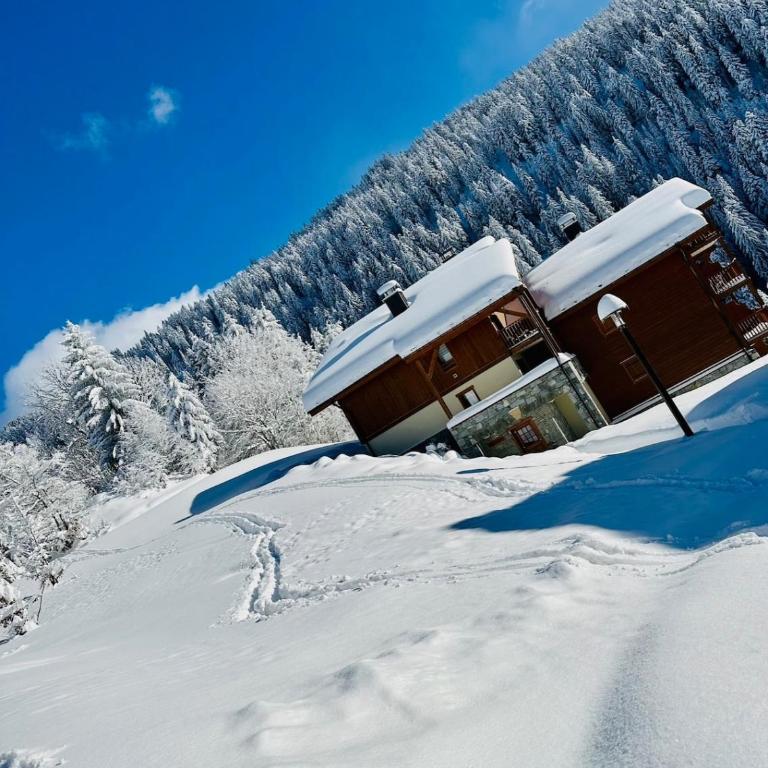 L'Ourson aux pieds des pistes & piscine chauffée - Appartement 2 Chambres - 36