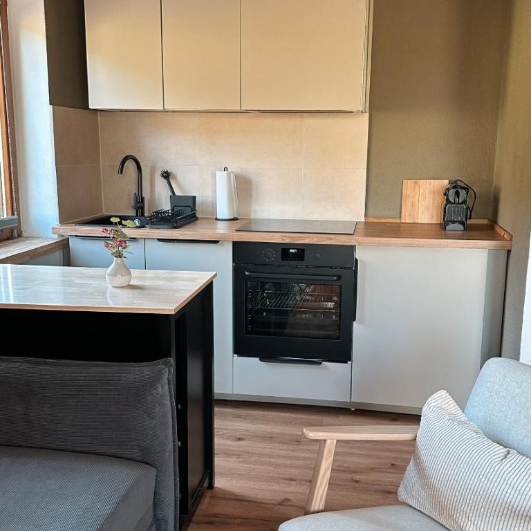 NaturNest Durchatmen - Skipass im Winter und Bergbahnen im Sommer inklusive - Apartment mit 1 Schlafzimmer - 8