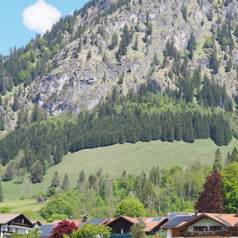 NaturNest Durchatmen - Skipass im Winter und Bergbahnen im Sommer inklusive - Apartment mit 1 Schlafzimmer - 44