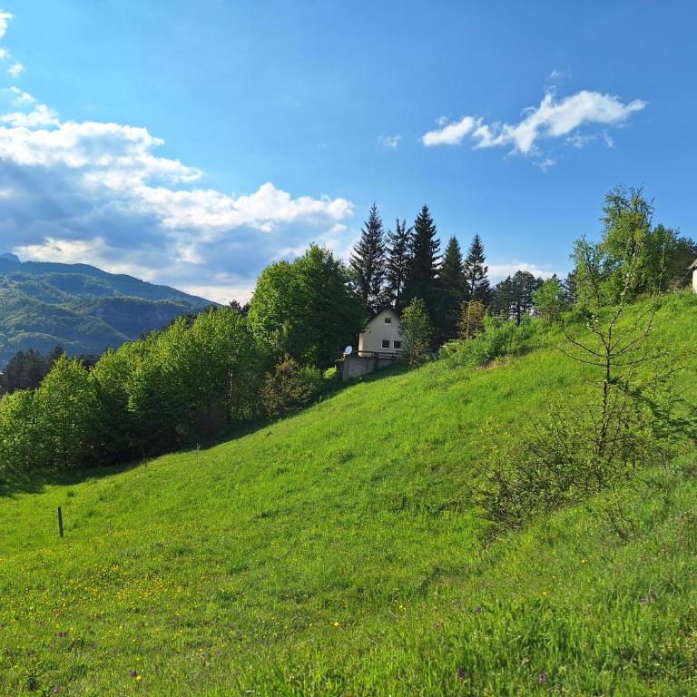 Braun Apartments - Apartman sa 1 Spavaćom Sobom - 8