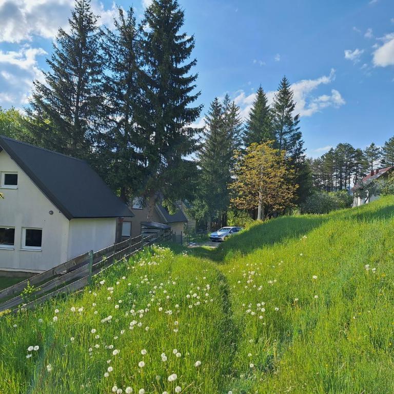 Braun Apartments - Apartman sa 1 Spavaćom Sobom - 4