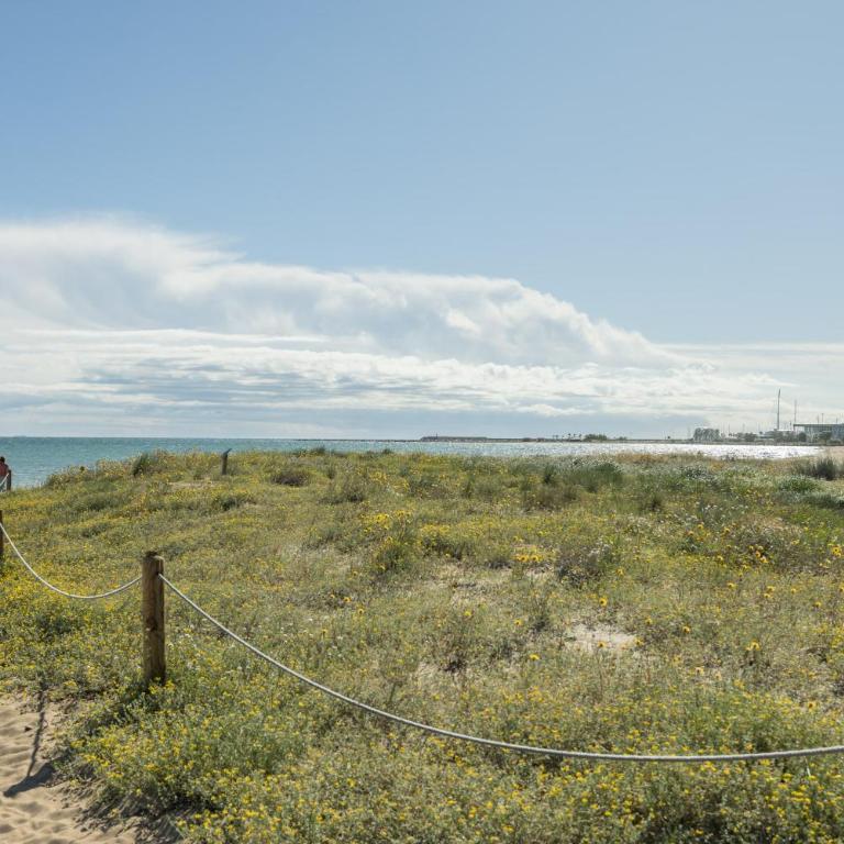 Primera linea Albamar -Serviden - Apartamento de 3 dormitorios con vistas al mar - 34