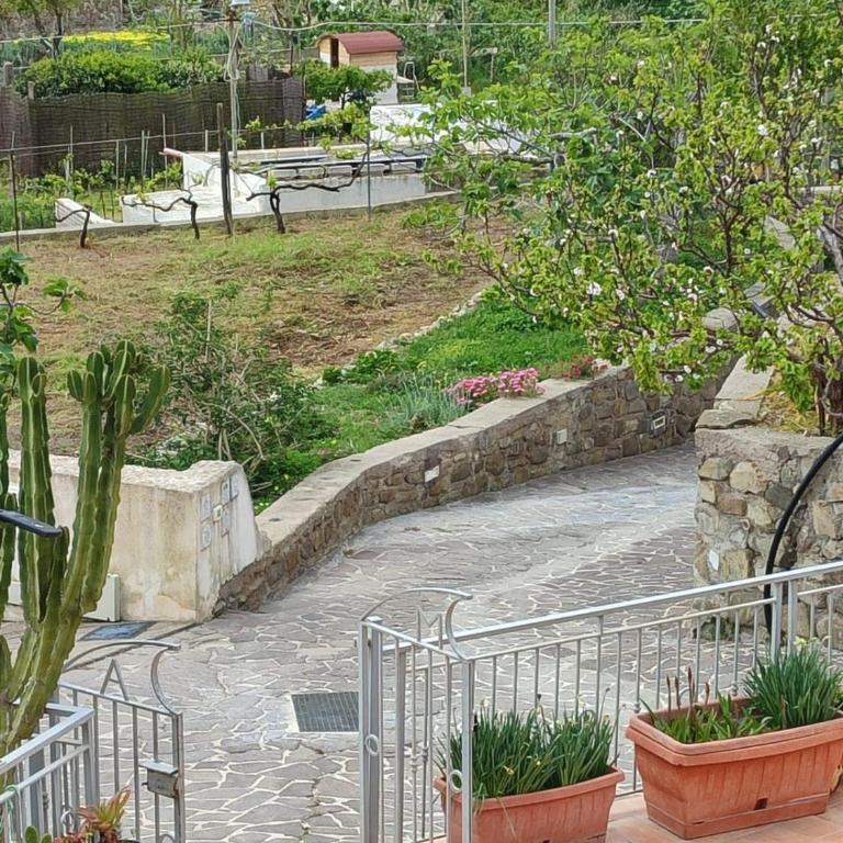 Casa Francesca Ponza - Casa con 1 Camera da Letto - 14