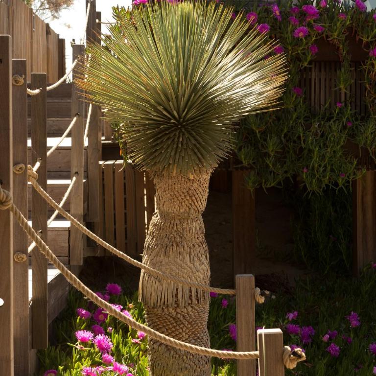 Villa Miramar Frontignan - Bungalow - Beach Front (external bathroom) - 22