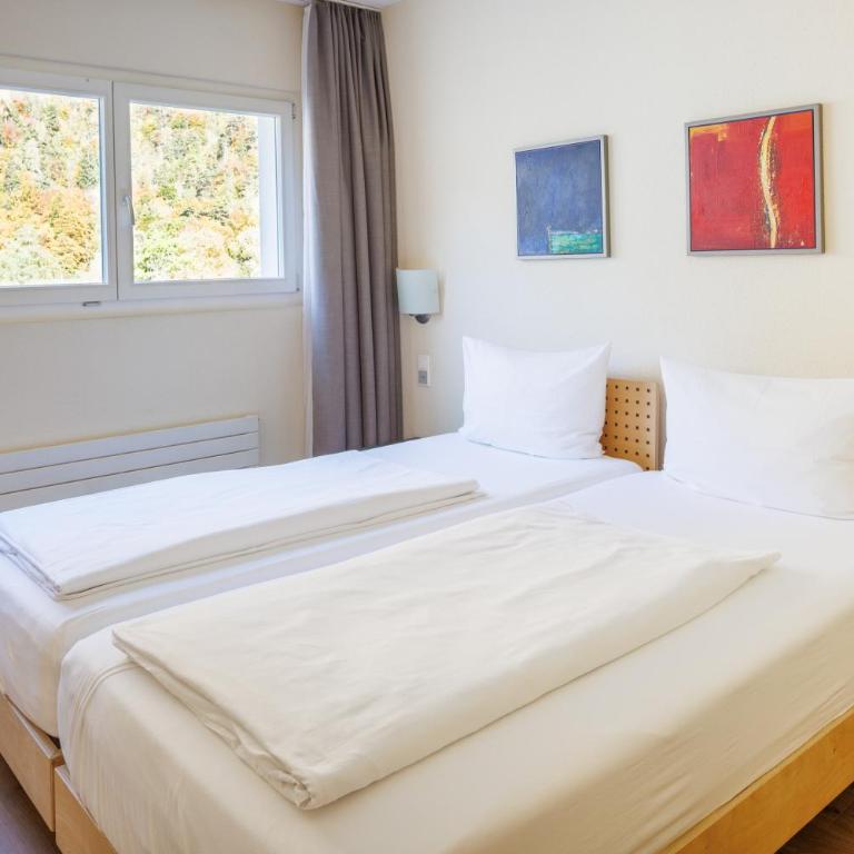 Hapimag Ferienwohnungen Interlaken - Appartement 2 Chambres avec Vue sur la Montagne - 1