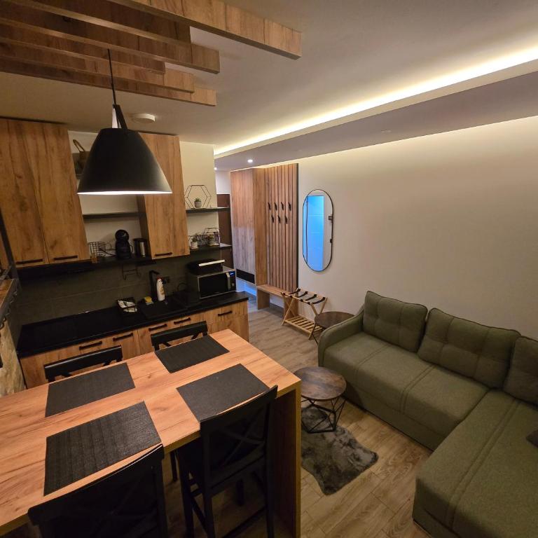 VAB Apartments & SPA, Residence hill, Kopaonik - One-Bedroom Apartment - 21