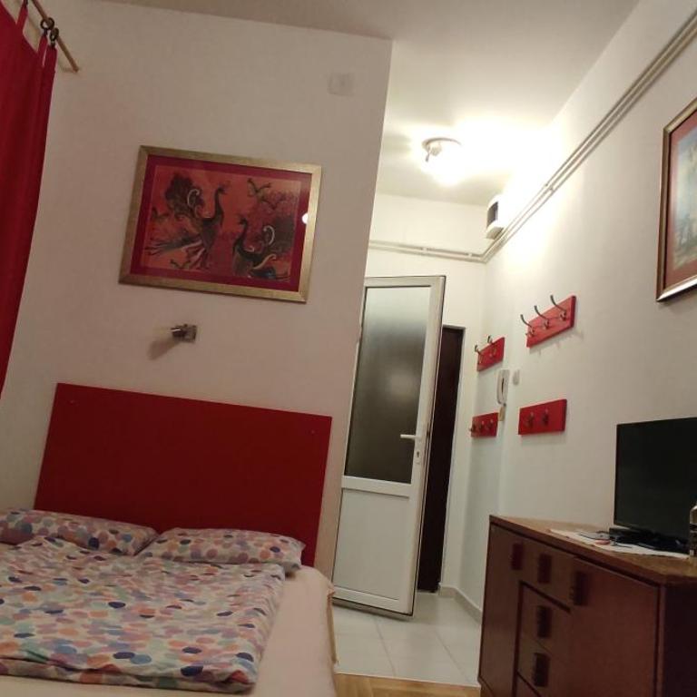 Studio Saint Sava - Apartman sa 1 Spavaćom Sobom - 2