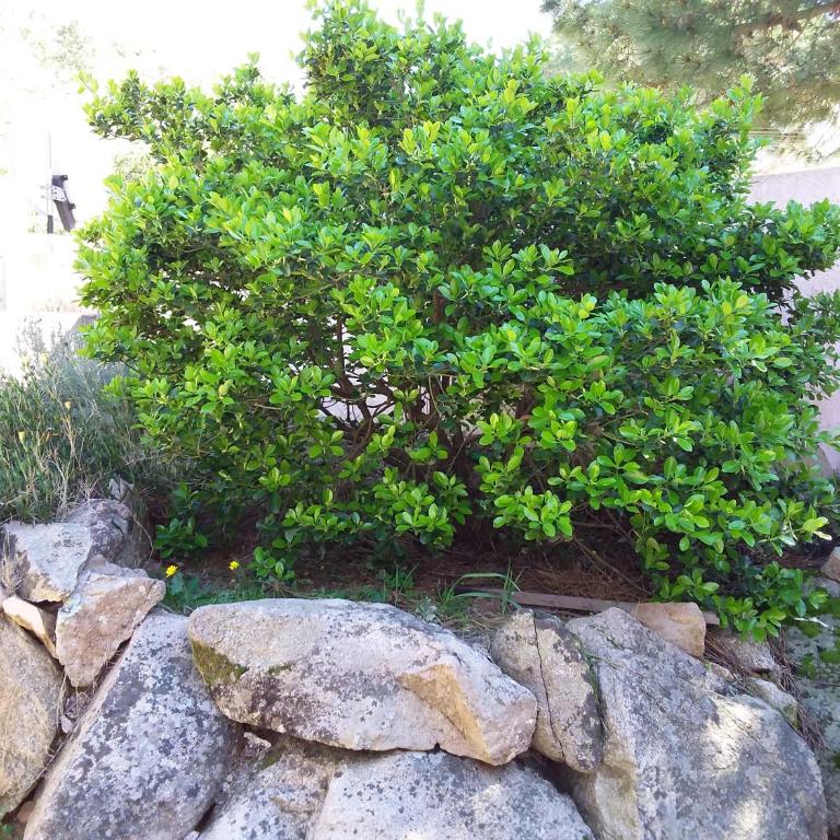 jolie location - Appartement 1 Chambre - 12