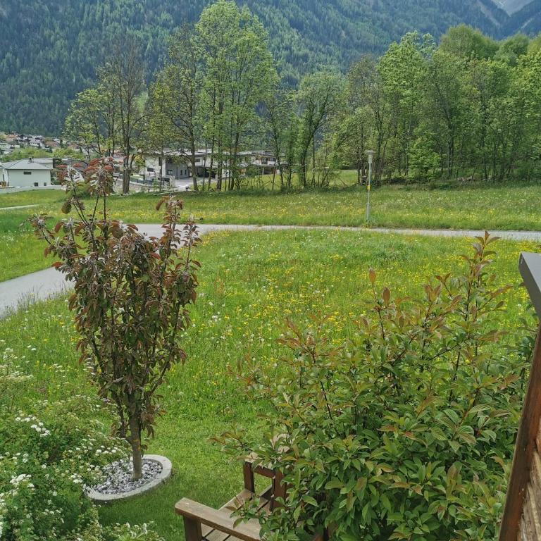 Haus Matthias - Apartment mit Gartenblick - 39