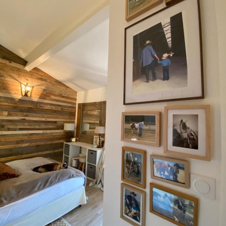 Frejus, quiet villa, beautiful terrace and wifi - Villa 2 Chambres - 6