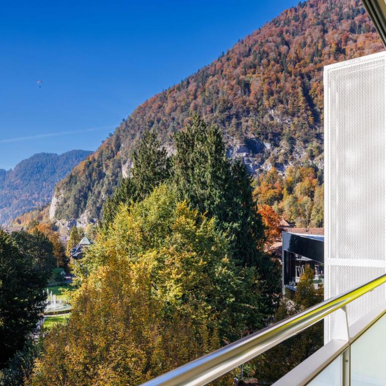 Hapimag Ferienwohnungen Interlaken - Appartement 1 Chambre avec Balcon - 9