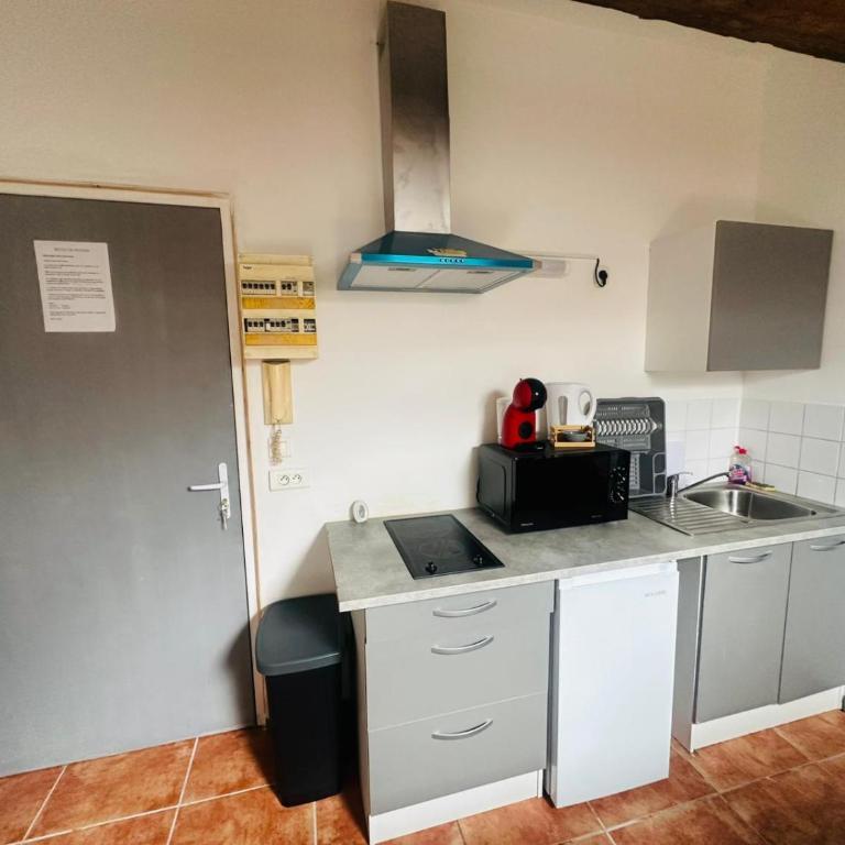 Grand studio proche centre - Appartement 1 Chambre - 6
