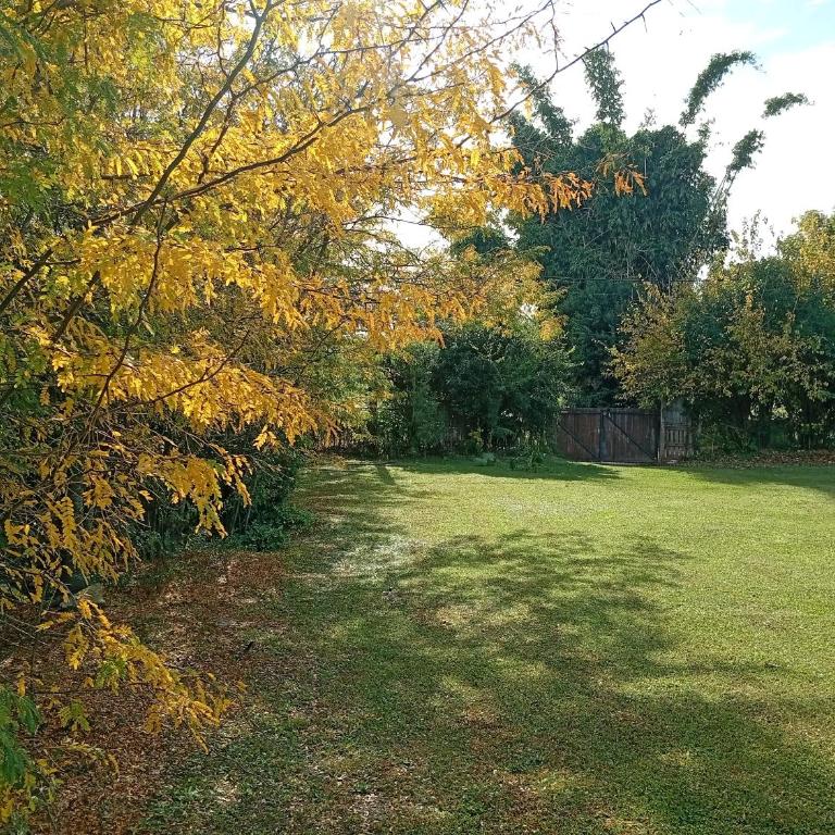 Chacra de campo en victoria entre rios - Casa con 1 dormitorio - 2