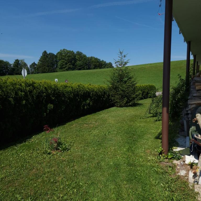 Gästehaus Kling - Apartment mit 1 Schlafzimmer - 10