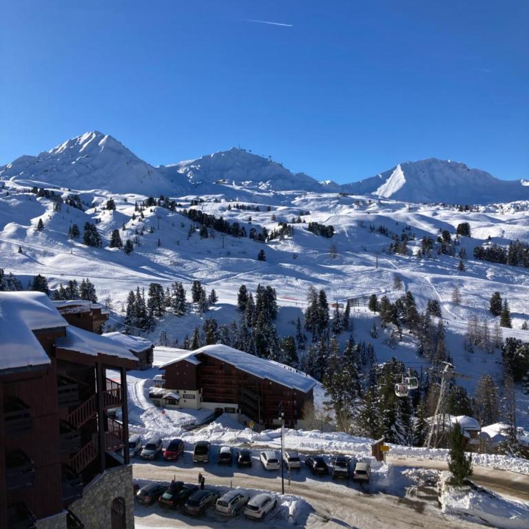 Appartement à Belle Plagne au pied des pistes - Appartamento con 1 Camera da Letto - 8