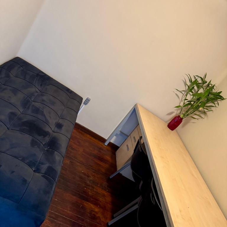 habitación doble, cama queen, terraza y plantas - Habitación Doble - 2 camas - 5