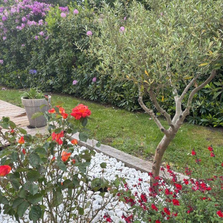 Villa Jeane-Rose, maison en bois avec Piscine - Haus mit 4 Schlafzimmern - 48