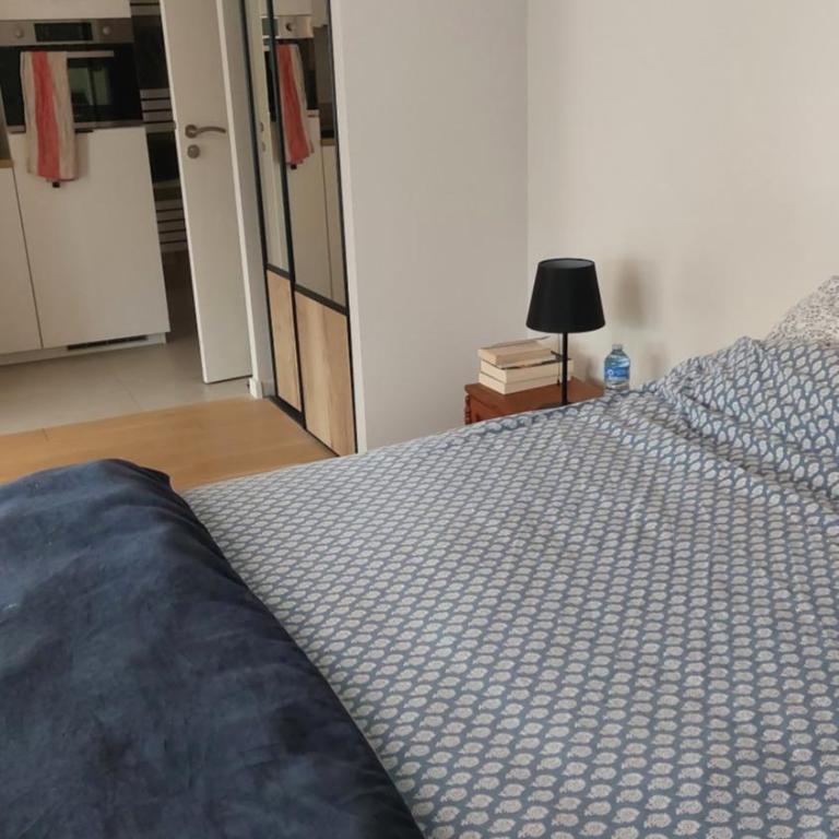 La Soldanelle vue lac et montagnes - Appartement 1 Chambre - Vue sur Lac - 13