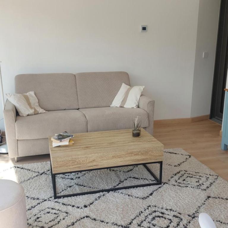 La Soldanelle vue lac et montagnes - Appartement 1 Chambre - Vue sur Lac - 16